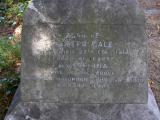 image of grave number 45916